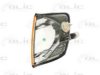 BLIC 5403-02-002102P Indicator